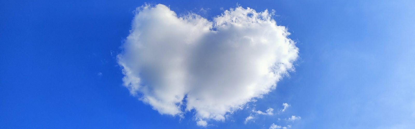 Bewegt und begleitet